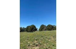 009 County Rd 242, Oakwood, TX 75855