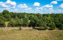 COUNTY ROAD 2732, Naples, TX 75568