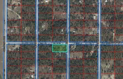 14250 SE 2ND Street, WILLISTON, FL 32696