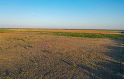 CR 146, Rule, TX 79547