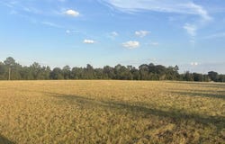 63 Hayes Road, Mauk, GA 31058