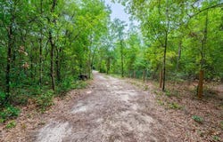 167 NE 128th Ave, Williston, FL 32696