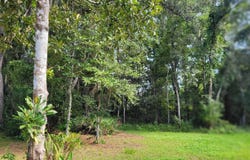 Moss Drive, Saint Augustine, FL 32092