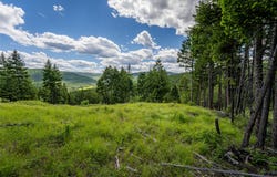 2342 Sirius View, Kalispell, MT 59901