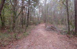 301 County Road 31, HEIDELBERG, MS 39439