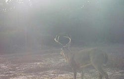 Forestry Rd 356, Beaumont, MS 39423