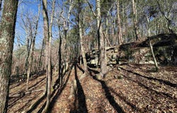 Bear Mountain Road, Prim, AR 72130