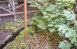 2180 W 24TH Ave, Eugene, OR 97405
