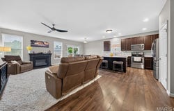 248 Thorn Brook Drive, O'Fallon, MO 63366