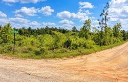 Bice & Jones Rd, Vinegar Bend, AL 36584