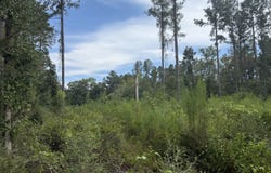 18500 Brooklyn Rd, Evergreen, AL 36401