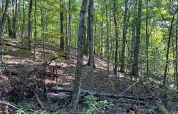Willow Avenue, Knox, PA 16232