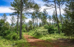 Bishop Road, Union, SC 29379