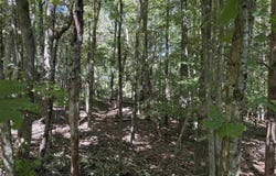 110 Peninsula Drive, Laurens, SC 29360