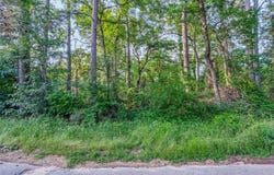 Forest Hill Drive, Frankston, TX 75763