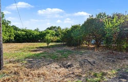 County Road 930, Nevada, TX 75173