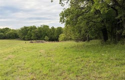 1576 Adell Circle, Peaster, TX 76088