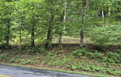 Blue Ridge Rd, Glasgow, VA 24555