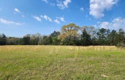 431 CR 3630, Colmesneil, TX 74904