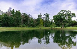 6615 State Line Road, Cottonwood, AL 36320