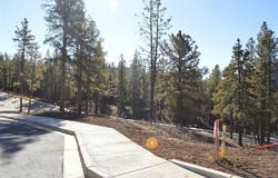 35 Snowdrop Ct. (Lot 141), Durango, CO 81301