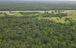 CR 3836, Hawkins, TX 75765