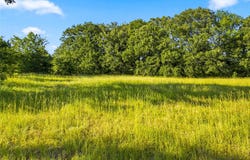 610 County Road 2040, Klondike, TX 75448