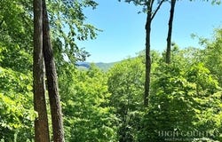 Davis Acres lot: 48 & 49, West Jefferson, NC 28694