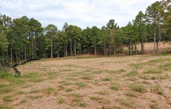10 FIELDSTONE PASS, Pearcy, AR 71964