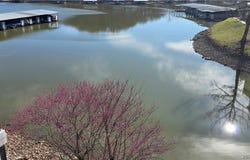 1595 Buckingham Drive, Camdenton, MO 65020
