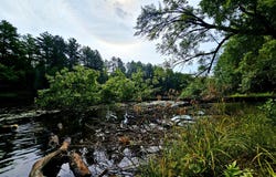 Smith Rd, MI 49868