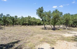 507 Lone Star Dr, Cedar Park, TX 78613