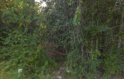 9718 Kino Place, Diamondhead, MS 39525