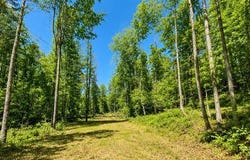Cedar Drive, Scott Depot, WV 25560