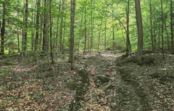 Farrar Road, Chester, VT 05143