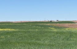 1500 W, Pingree, ID 83262