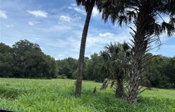NE 23, CITRA, FL 32113