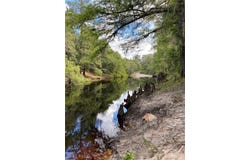8115 Shasta Street, Webster, FL 33597