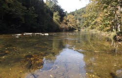 6503 Panther Creek Rd., Allisonia, VA 24347