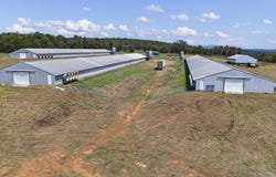 13589 Middle Ridge Road, Ozark, AR 72949