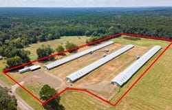 4442 FM 1992, San Augustine, TX 75972