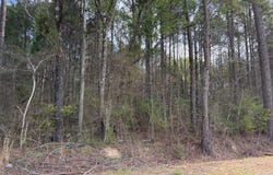 288 Galilee Road, Carthage, MS 39051