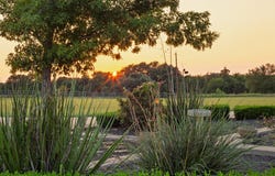 664 Fm 182, Clifton, TX 76634