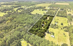 18875 NW HWY 335, WILLISTON, FL 32696