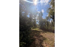 49 Nevada, Buckner, AR 71827