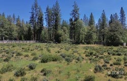 1321 Brady Rd, Hayfork, CA 96041