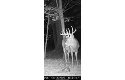 Proctor Mill Road, Russellville, KY 42276