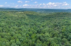 Whitetail Trail lot: 37, Dover, AR 72837
