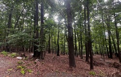 17 REYMANN Drive, YELLOW SPRING, WV 26865