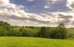 1580 Sardis Road Sardis Road, Mount Olivet, KY 41064